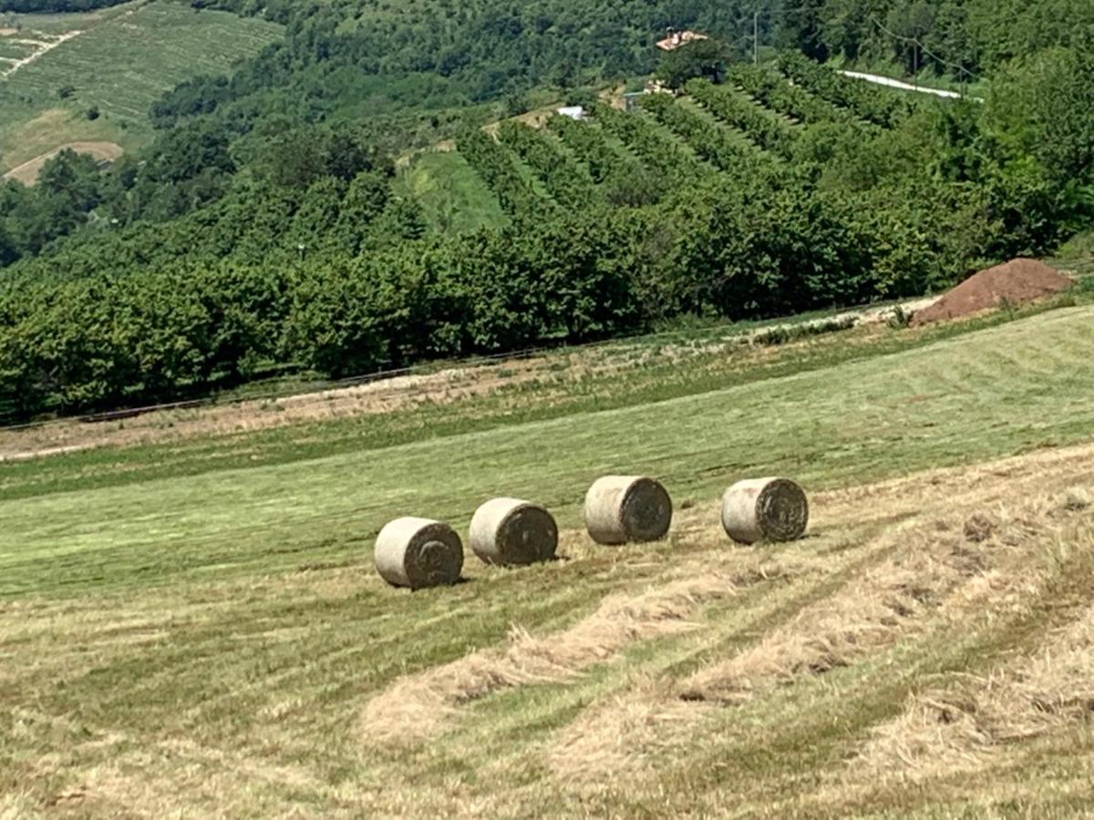 Bed and Breakfast La Luce Delle Colline Serravalle delle Langhe Экстерьер фото